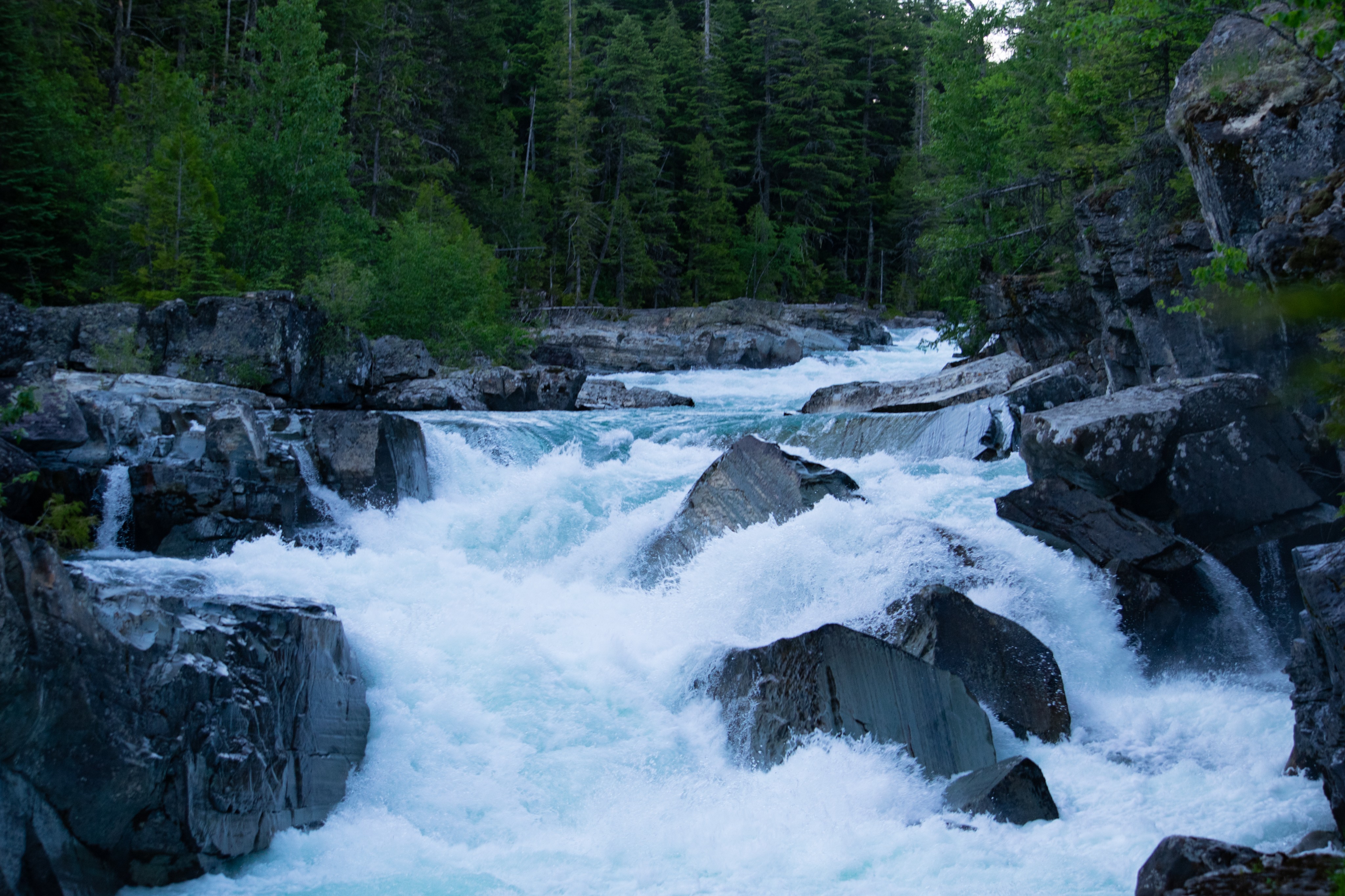 Photo 50